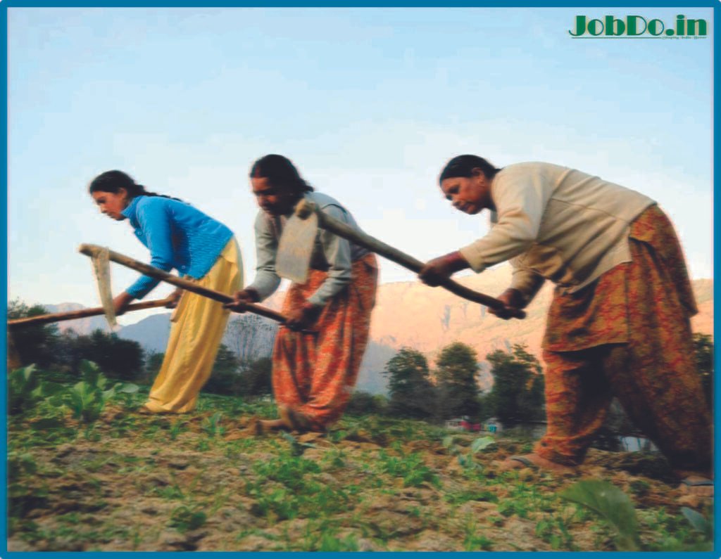 Revitalizing Rural Communities: The Impact of Employment in Villages 2 Revitalizing Rural Communities The Impact of Employment in Villages Jobdo 1