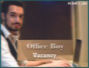 Office Boy Needed for Wedding Event Jobdo