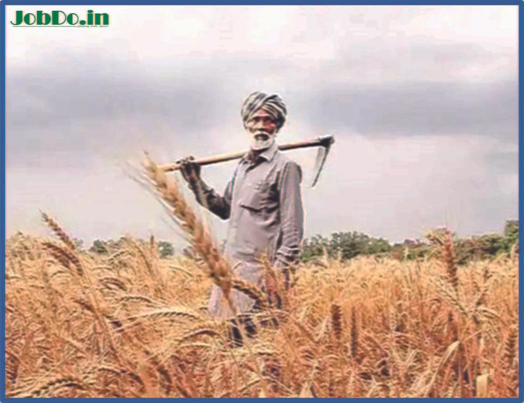 Reviving Rural Economies: Job Opportunities on the Rise in Villages 2 Reviving Rural Economies Jobdo 1