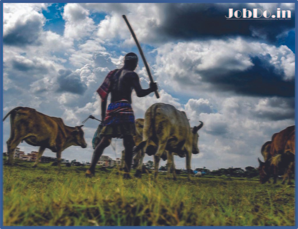 Reviving Rural Economies: Job Opportunities on the Rise in Villages 3 Reviving Rural Economies Jobdo 2