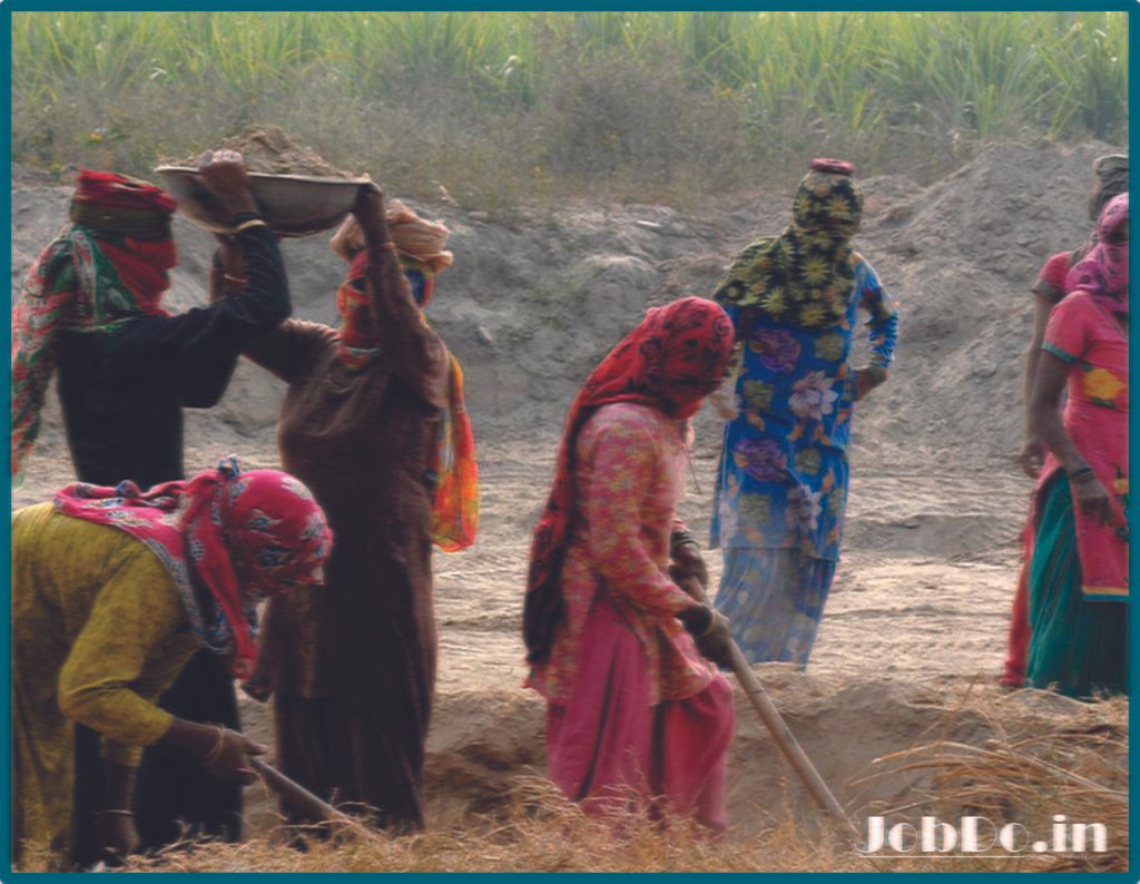 Rural Employment on the Rise: New Opportunities for Job Seekers 3 Rural Employment on the Rise Jobdo 2