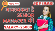 Urgent Need of a Senior Manager by Jobdo Updates in Varanasi UP India